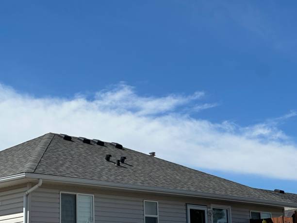 Best Roof Leak Repair  in Amherst, OH